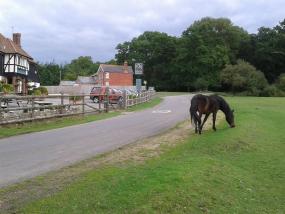 Note that the fences enclose the pub, not the horses. 