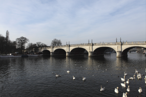 Kingston Bridge