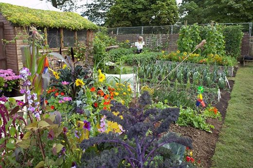 Heritage Lottery Fund cash gives green light on allotment project