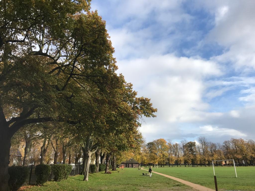 Kingston’s parks are the most improved in London