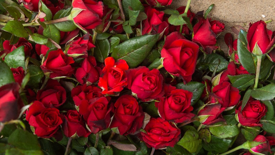 COMMENT: Valentine’s Day is just another commercial holiday rather than about love