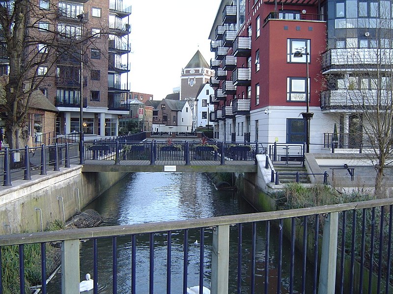 New data reveals the appalling state of Kingston’s Hogsmill River