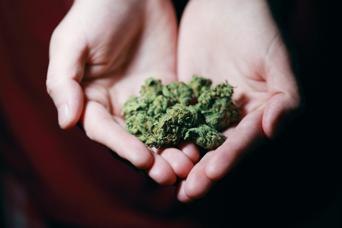 UK ‘lagging behind’ on legal cannabis regulation says Kingston CBD entrepreneur