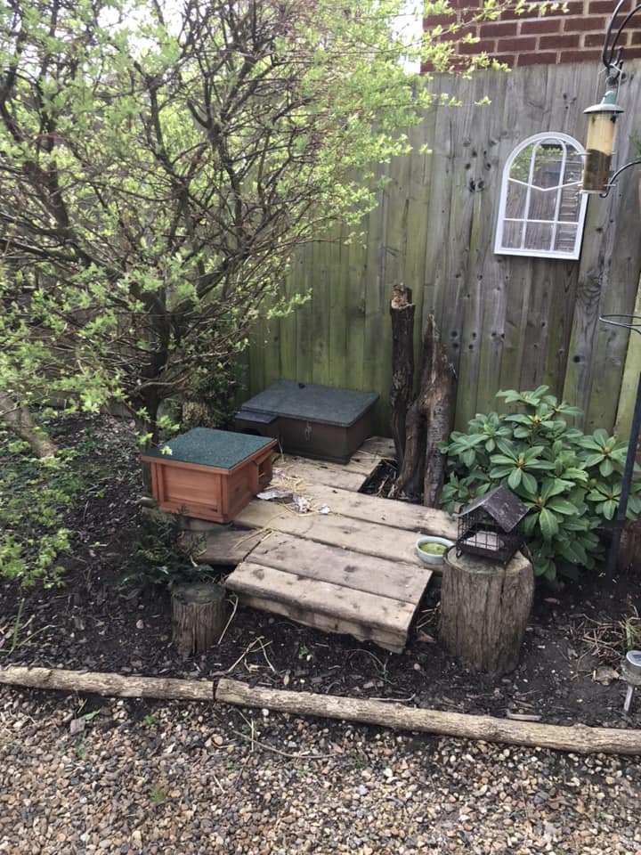 A collection of boxes and runs for hedgehogs in a garden.