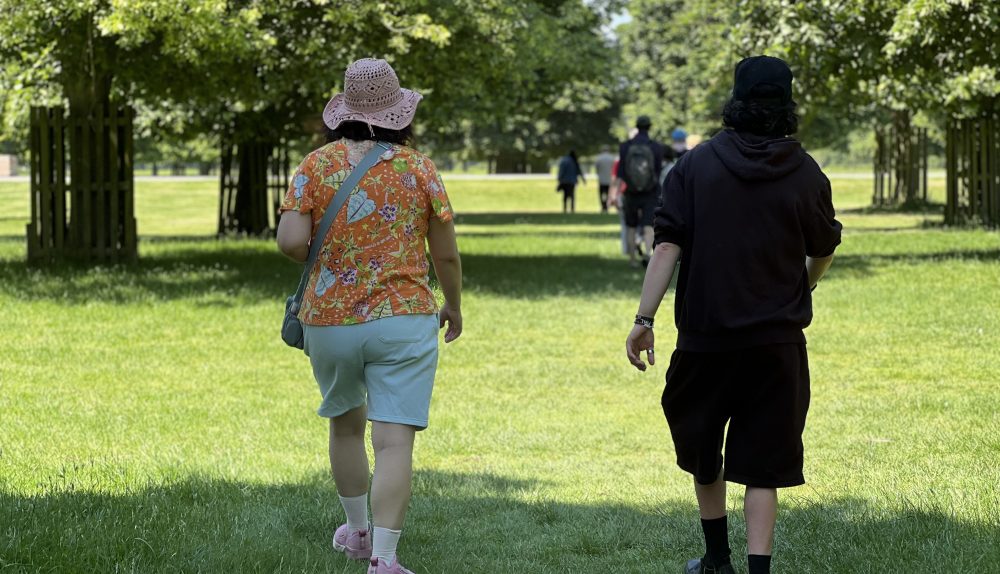 Service users enjoy a walk organised by Mind in Kingston, a charity, in the scenic Bushy Park in Richmond.