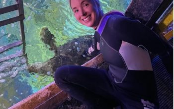 Fiona Lamdin prepares to broadcast from a shark tank.