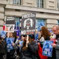 Protestors hold signs reading "Free the Gentoo Penguins, No Fresh Air Not Fair" and "Free the 15".