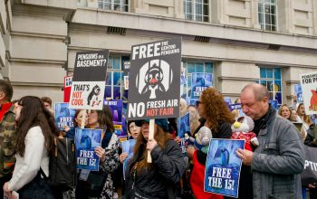 Protestors hold signs reading "Free the Gentoo Penguins, No Fresh Air Not Fair" and "Free the 15".