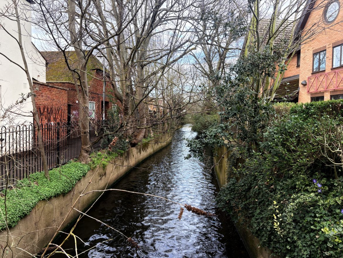 Artists unveil campaign to make a stretch of Hogsmill River safe for swimming