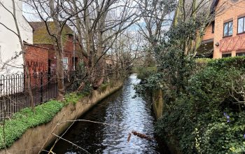 Photo Credit: Valentina Vinciarelli