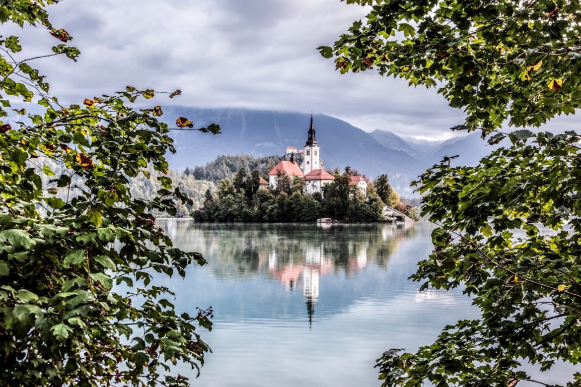 Kingston Camera Club unlocks the passion of photography for local community